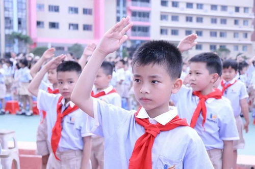 红领巾心向党，玉林少年庆六一——各级少先队组织主题实践活动纵深推进